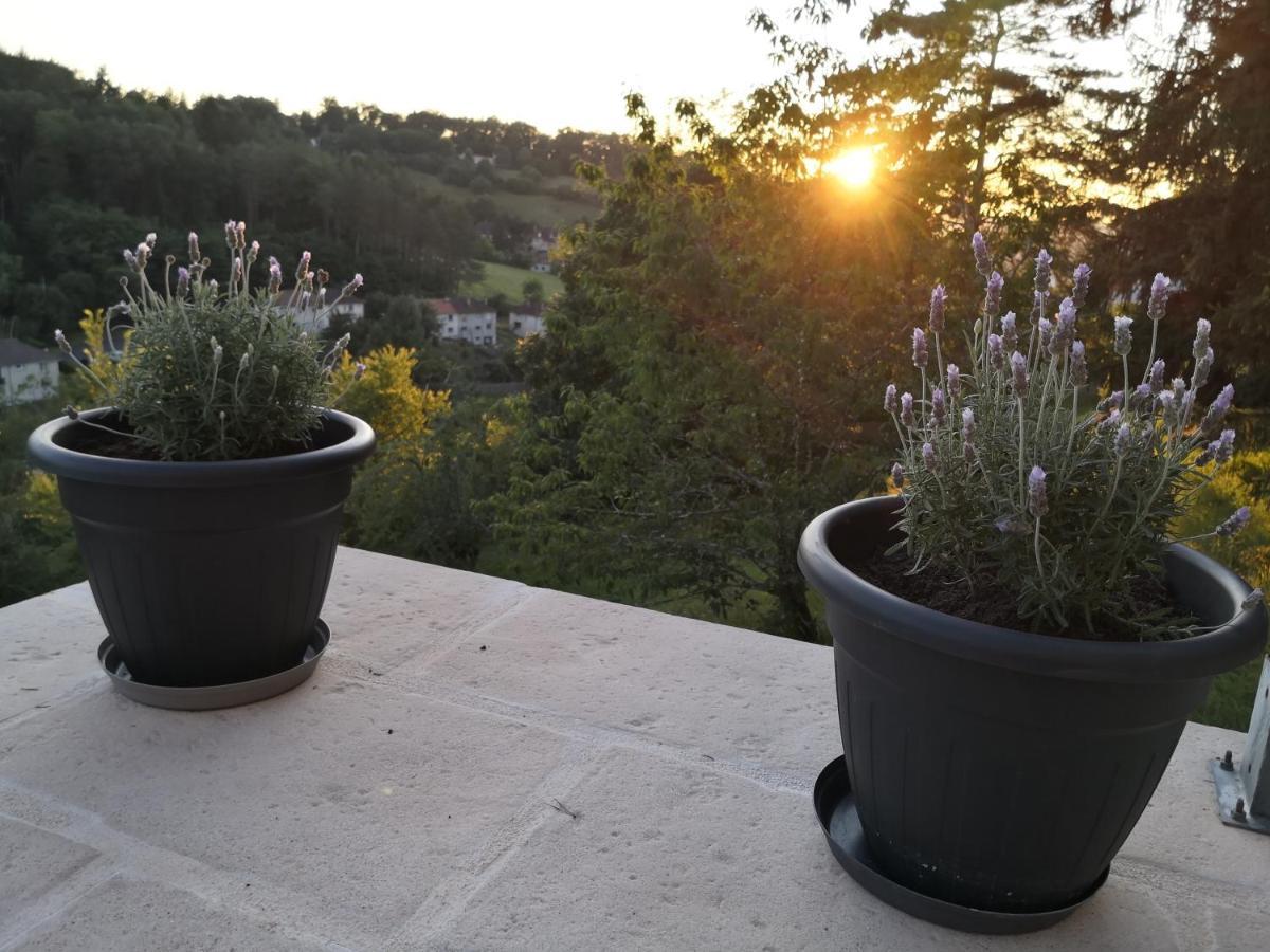 Chambre Meublee Avec Vue Panoramique A Perigueux Sanilhac  Екстериор снимка